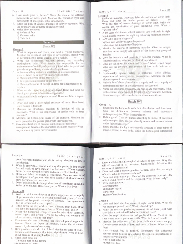 Term 2 PYQS | PDF