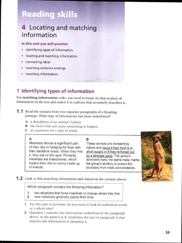 4 Locating and Matching Information | PDF