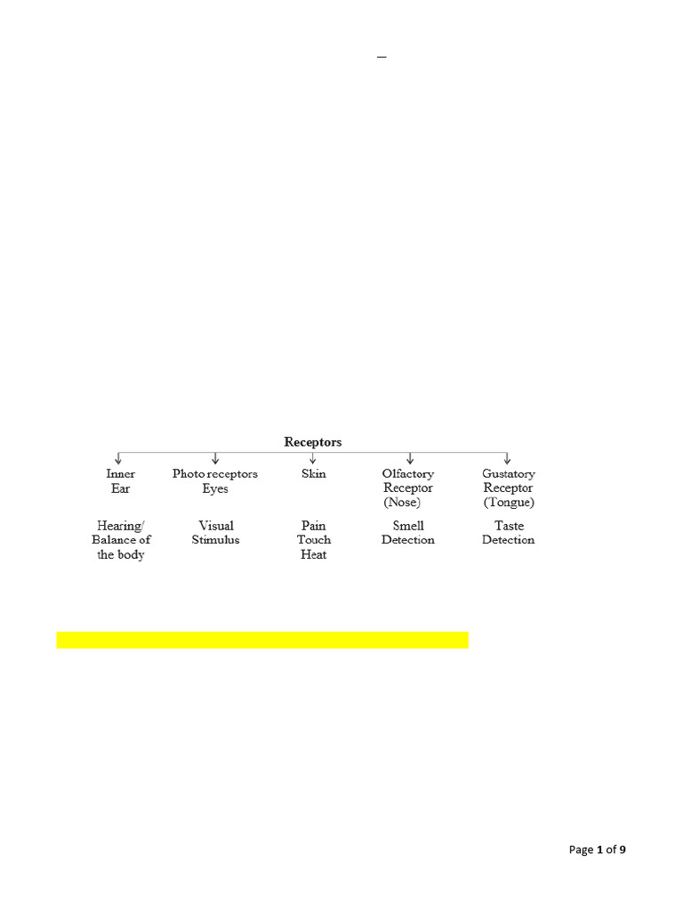 Control & Coordination Class X Notes | PDF | Neuron | Nervous System
