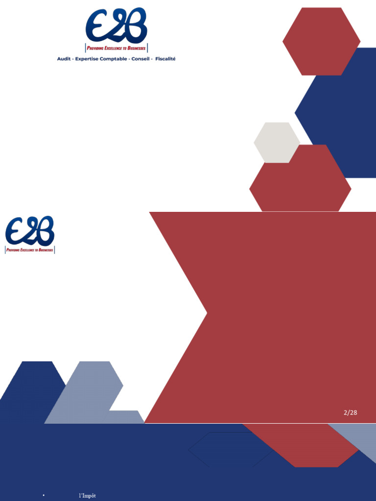 Dispositions fiscales de la loi 2023 | PDF | Impôts | Impôt sur le revenu