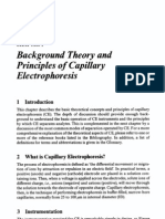 Theory of Electrophoresis