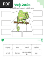Labeled Diagram of Lizard Parts | PDF | Claw