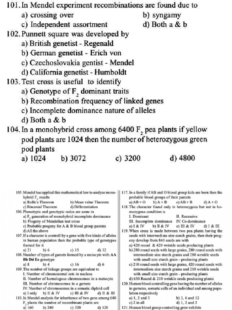 Practice (GENETICS) | PDF