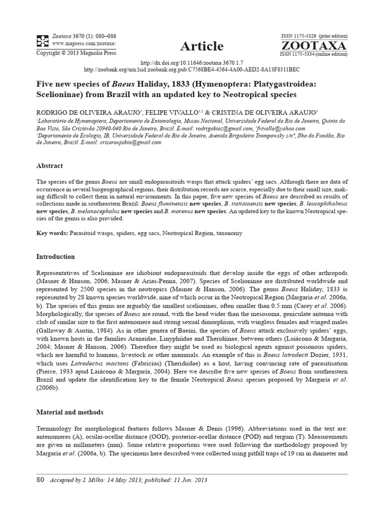 Five New Baeus Species from Brazil | PDF