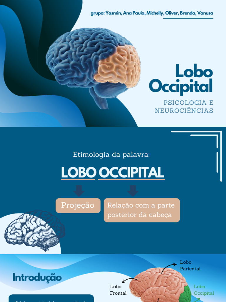 Apresentação Lobo Occipital | PDF | Deficiência visual | Sistema visual