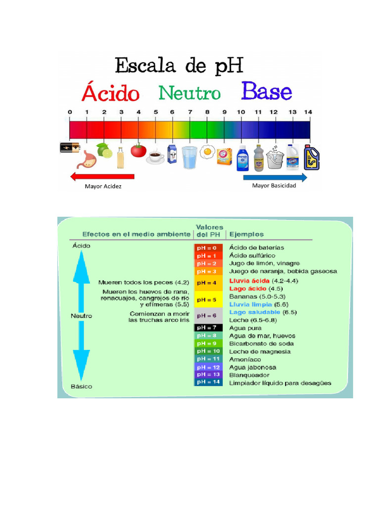 PH | PDF