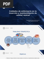 Maniobra de Crede | PDF | Urología | Sistema genitourinario