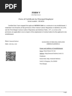 Form V Format | PDF