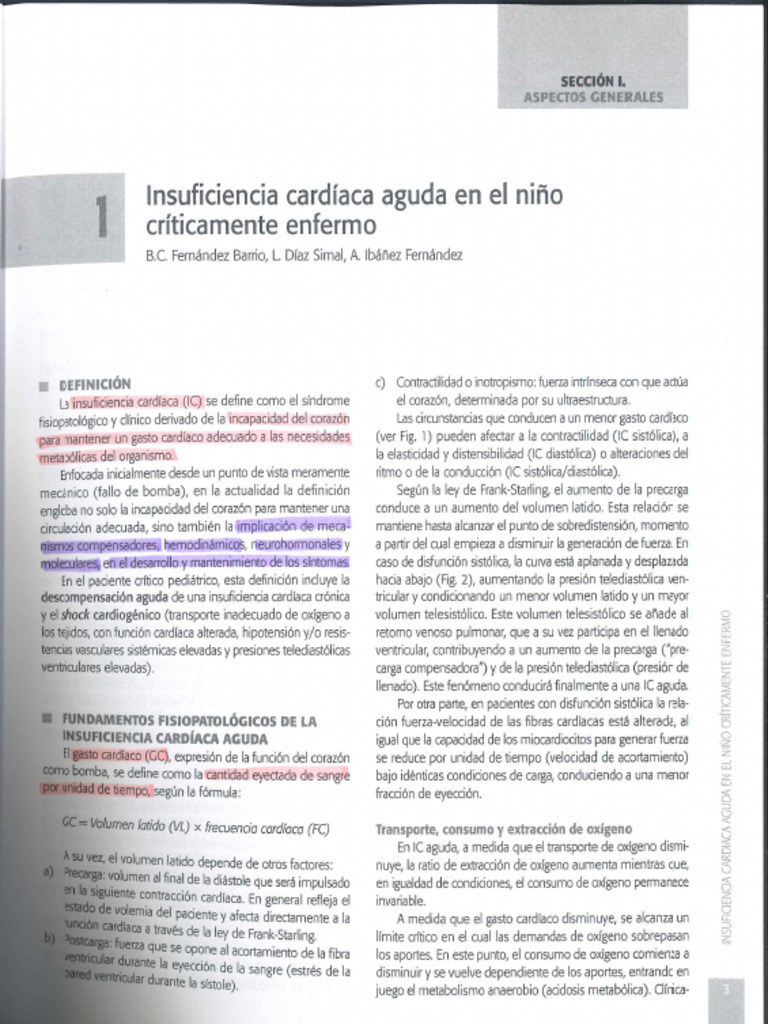 Libro 1 | PDF