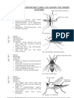 Study On The Insects of Order Diptera