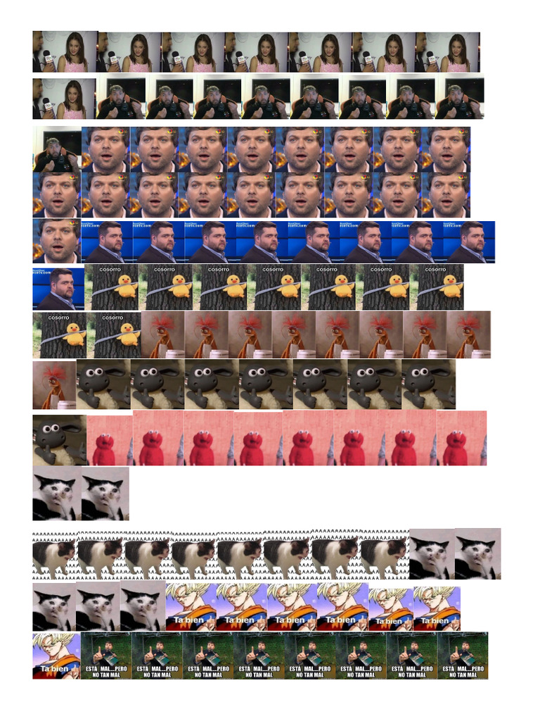 Memes 24 | PDF