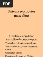 Aula Teórica 1 embriologia