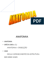 Introdução e Osteologia