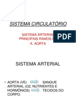 Sist.circulatorio-ramos Da Aa.aorta