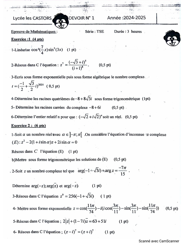 D1 TSE LCastors 2024 - 25 | PDF