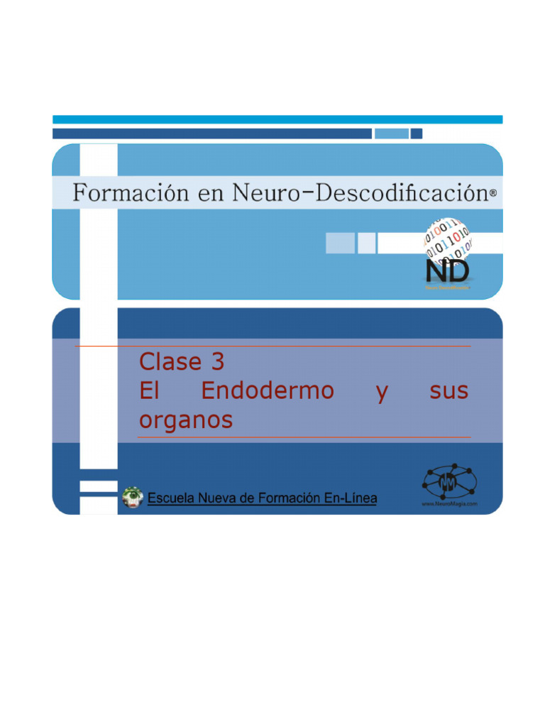 Endodermo: Órganos y Conflictos Biológicos | PDF | Sistema digestivo ...