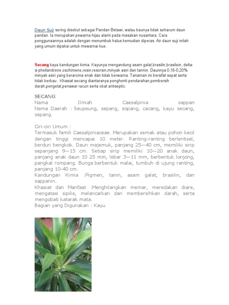 Daun Suji