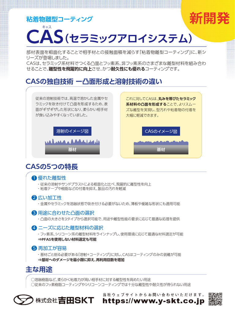 CAS v01 2504 | PDF