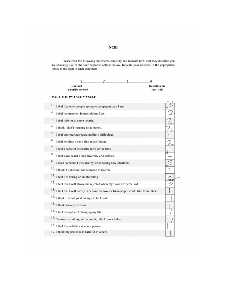 Core Beliefs Assessment Results | PDF | Self Esteem | Psychological ...