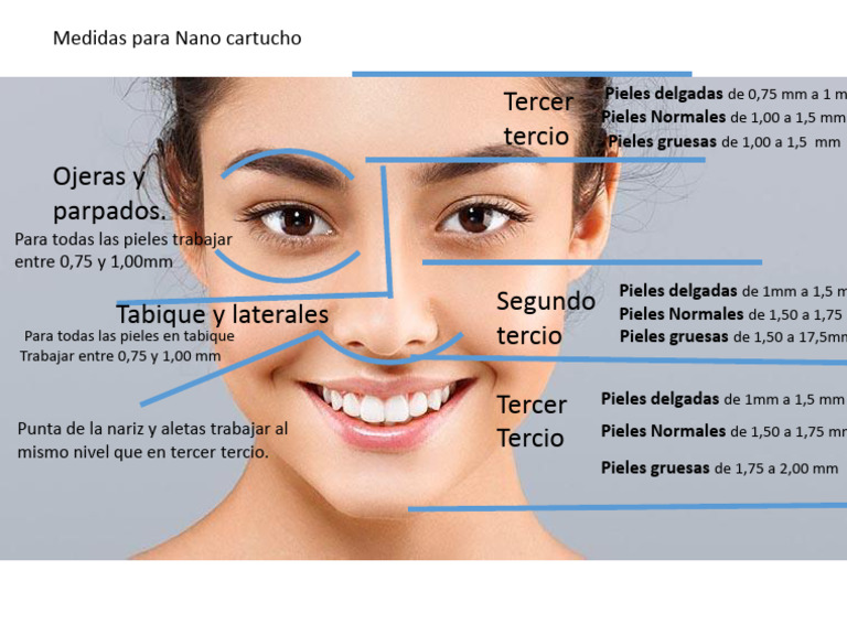 9.1 Medidas+para+nano+cartucho+segun+zonas+del+rostro | PDF