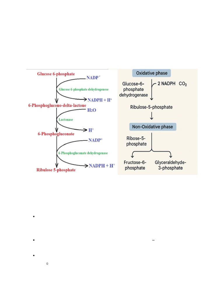 PP Pathway | PDF