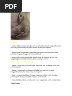 Download LUKISAN by ahkiujtsw SN86435475 doc pdf