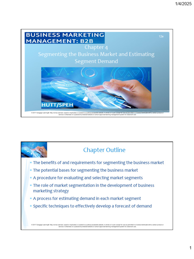 Business Market Segmentation Strategies | PDF | Forecasting | Marketing