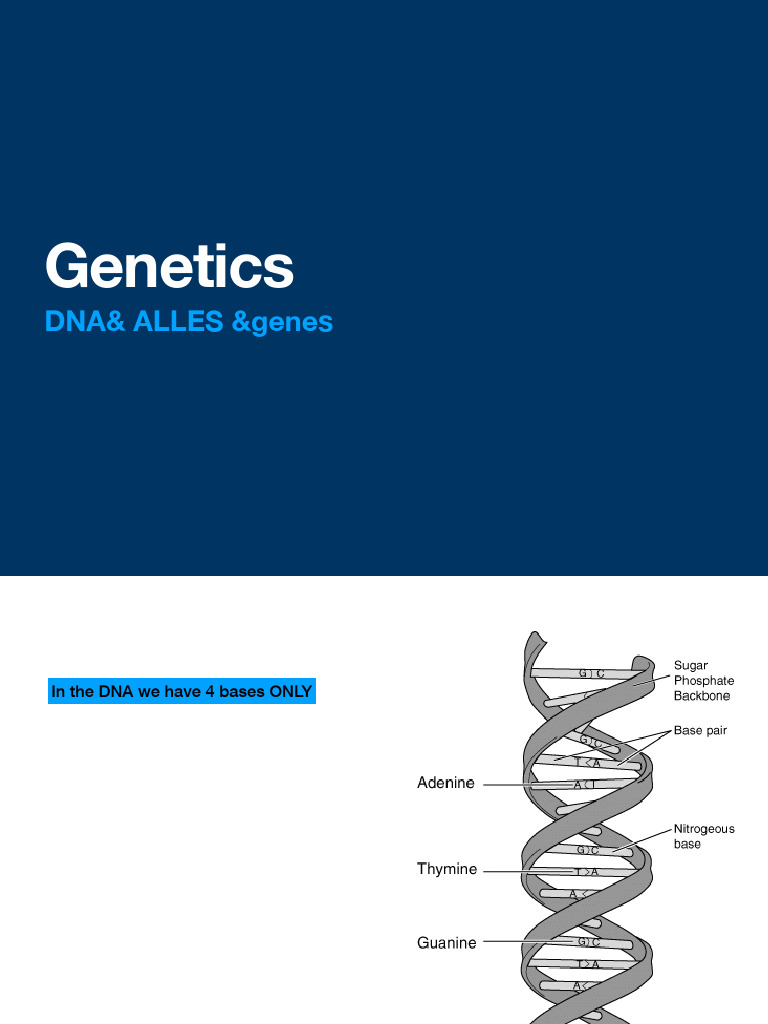 Understanding Genetics and Alleles | PDF