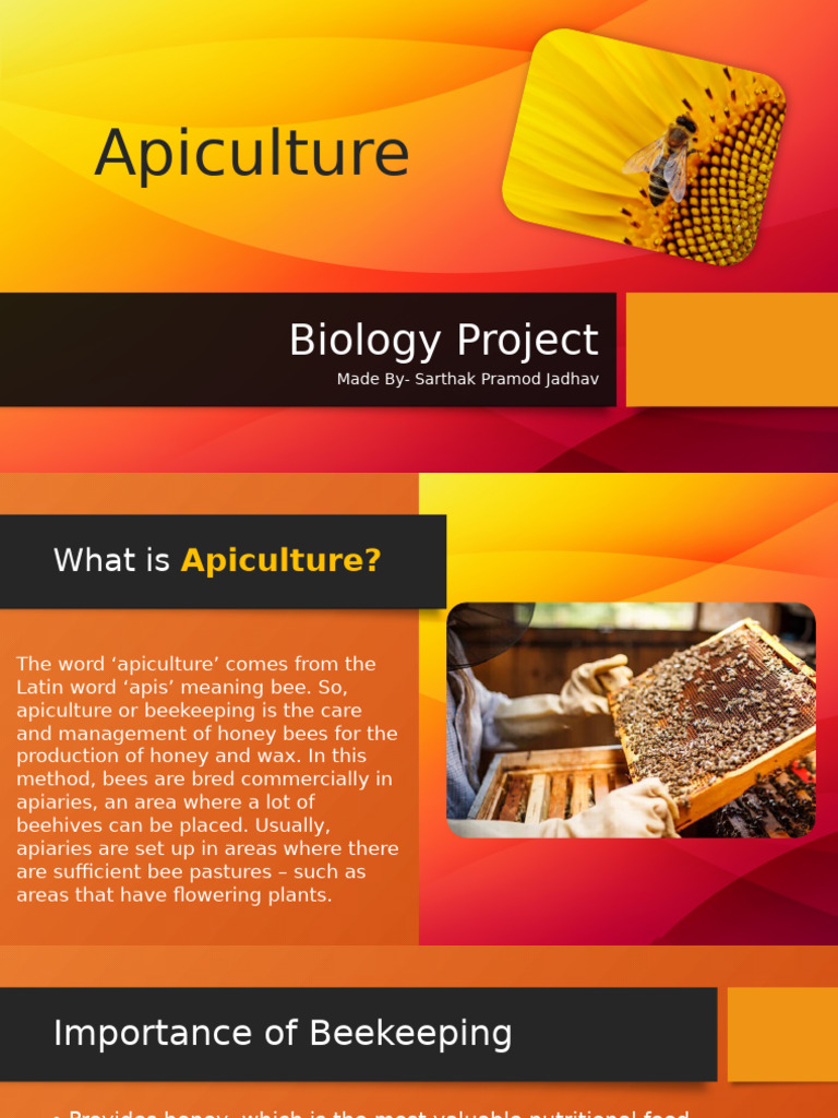 Biology Project Roll No. 35 | PDF | Honey Bee | Beekeeping