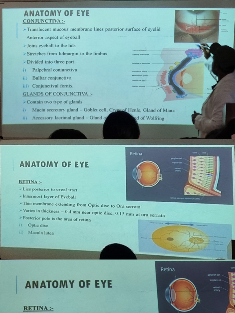 Anatomy of eye ?️ | PDF