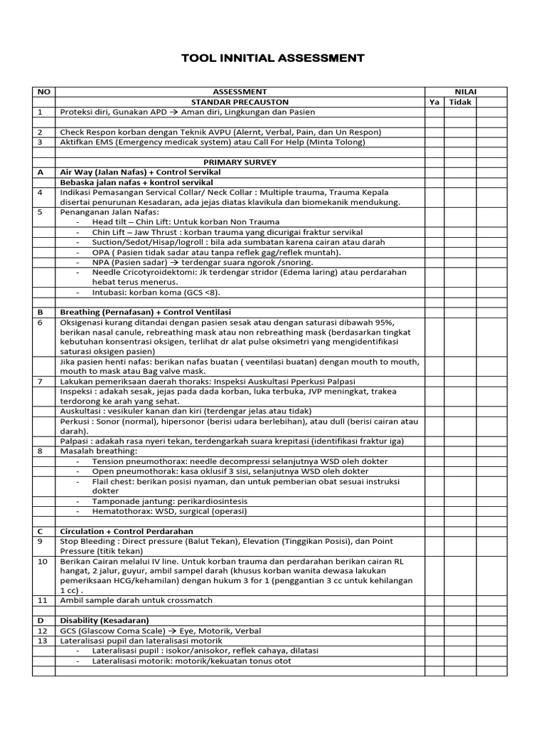 Tool Initial Assessment | PDF