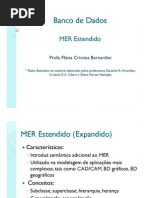 MER_Estendido
