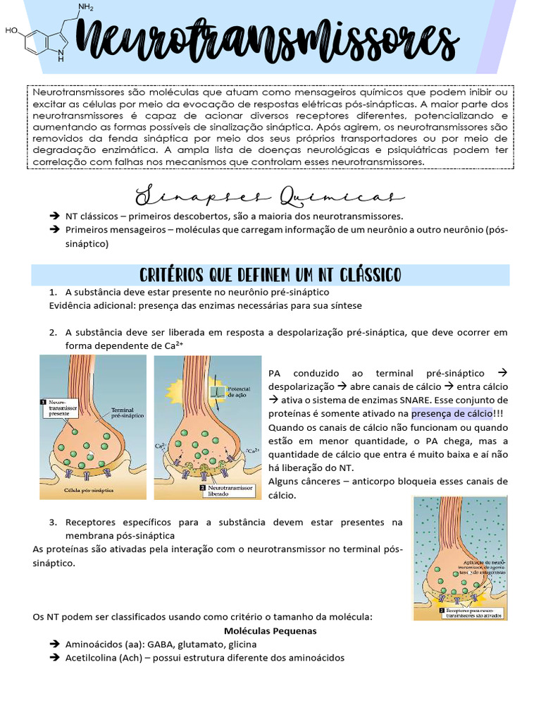 Neuro Trans Miss Ores | PDF | Sinapse | Neurotransmissor