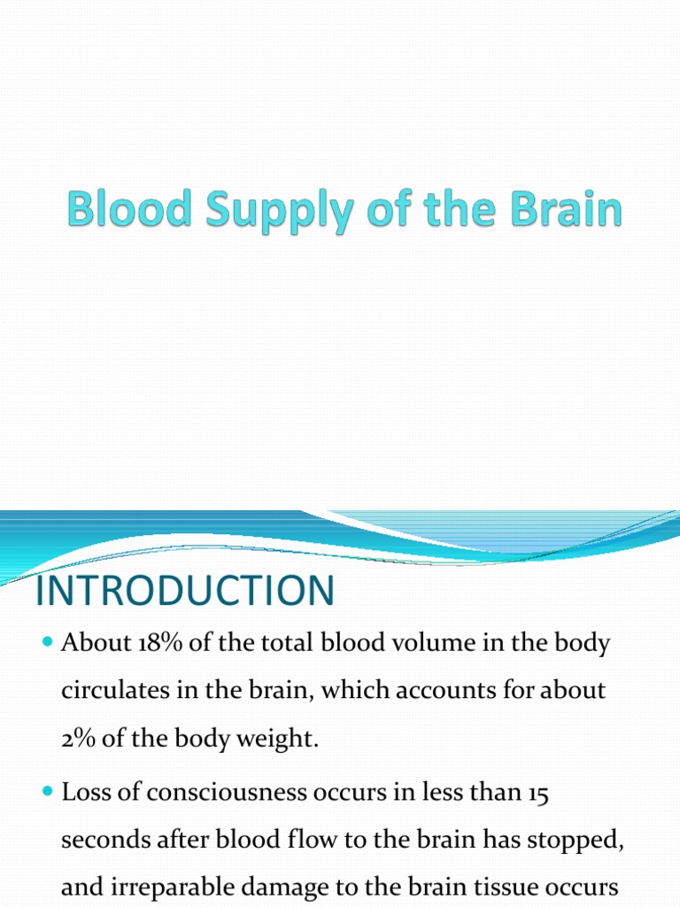 Blood Supply of the Brain Overview | PDF | Vein | Cerebral Cortex