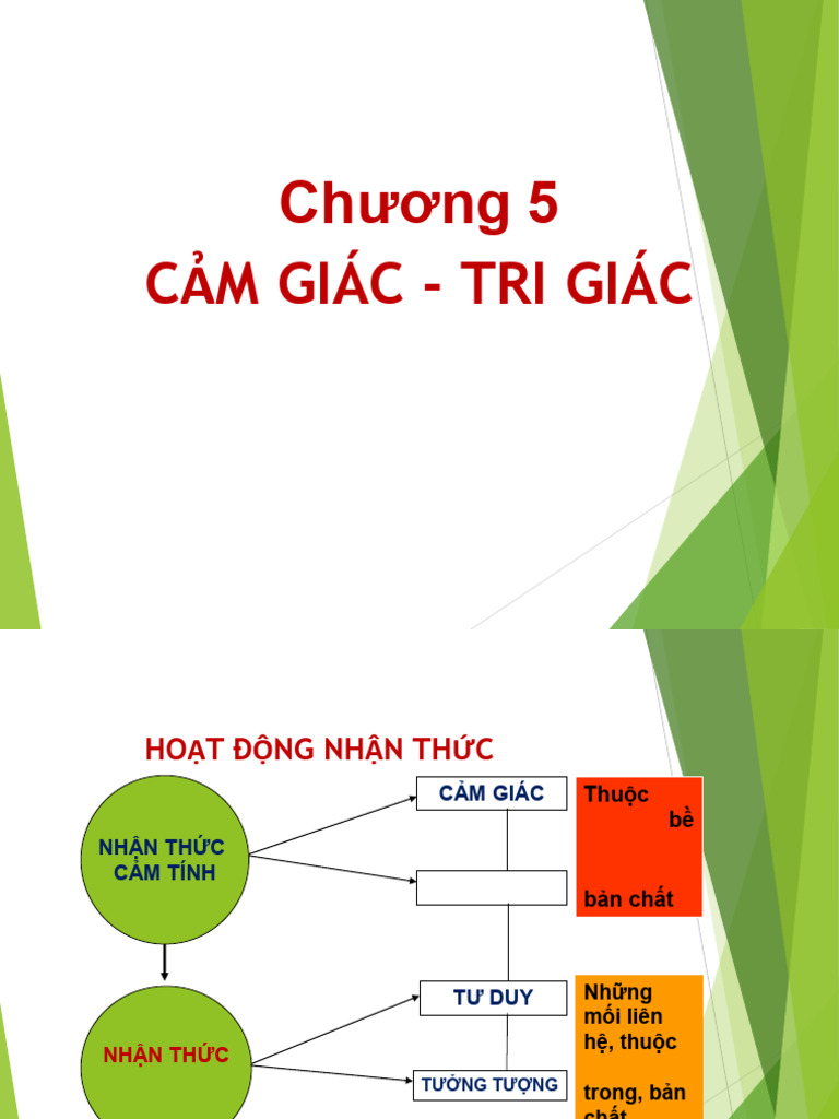Chuong 5. Cam Giac, Tri Giac | PDF