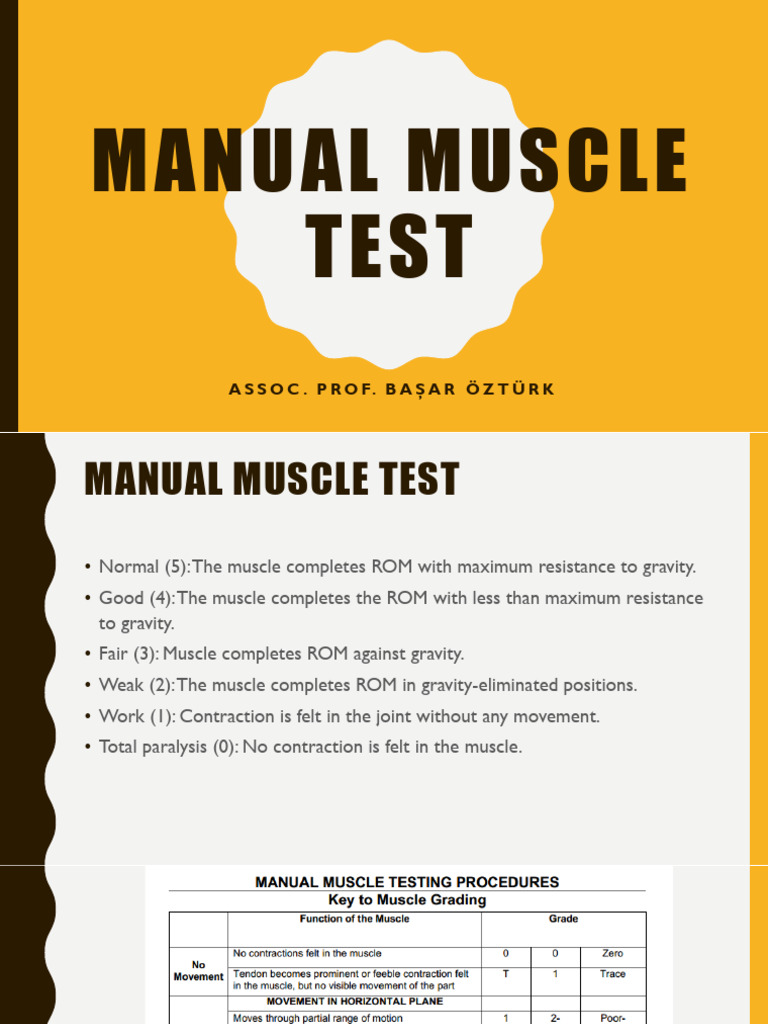 Manual Muscle Testing Guide | PDF | Thumb | Human Leg