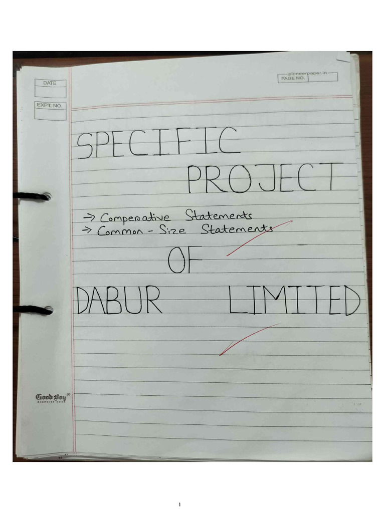 Accountancy Project | PDF