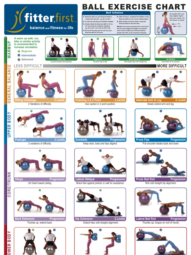 Ball Exercise Chart | Weight Training | Flexibility (Anatomy)
