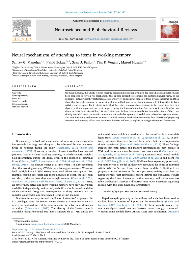 Neural Mechanisms of Attending To Items in Working Memory | PDF ...