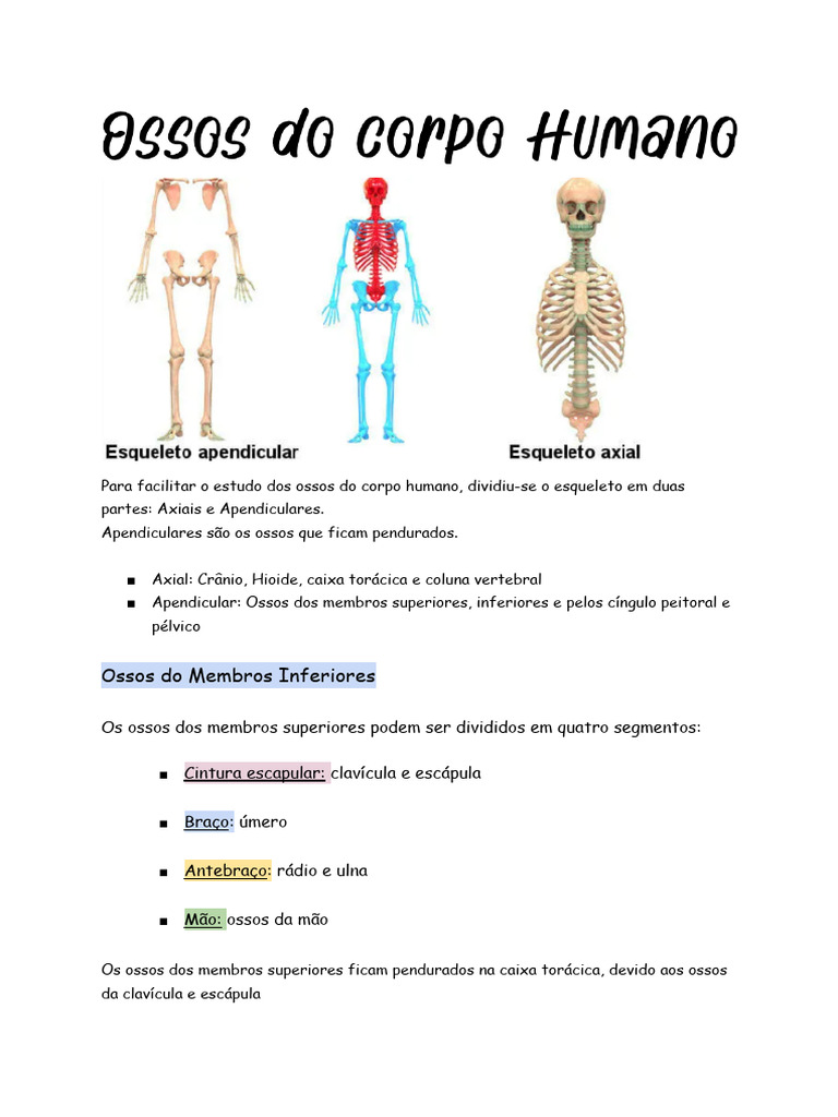 Ossos Do Corpo Humano | PDF | Joelho | Quadril, image size:768x1024