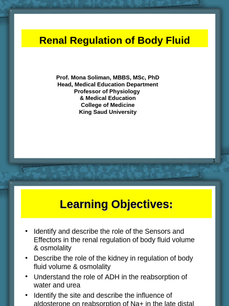 7 - Body Fluids and Regulation | PDF | Angiotensin | Kidney