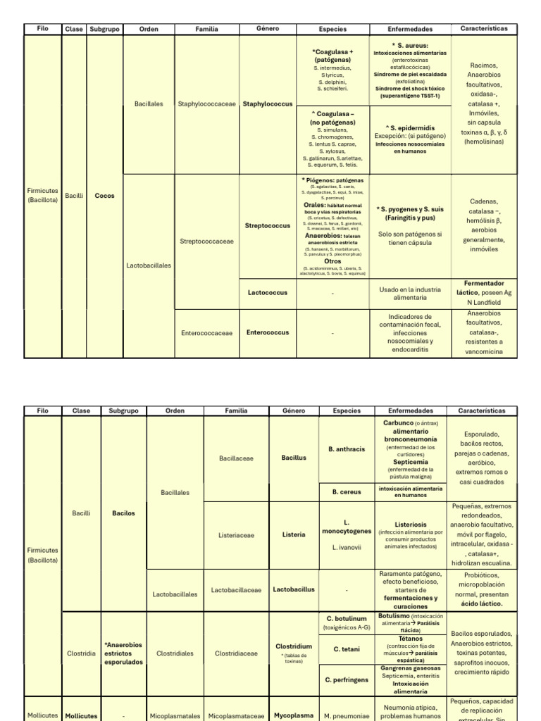 Clasificación y Enfermedades de Bacterias Gram+ y Gram- | PDF ...