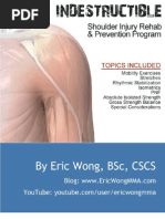 Download Indestructible Shoulder Program Ericwongmma by crossthajaw SN86449997 doc pdf