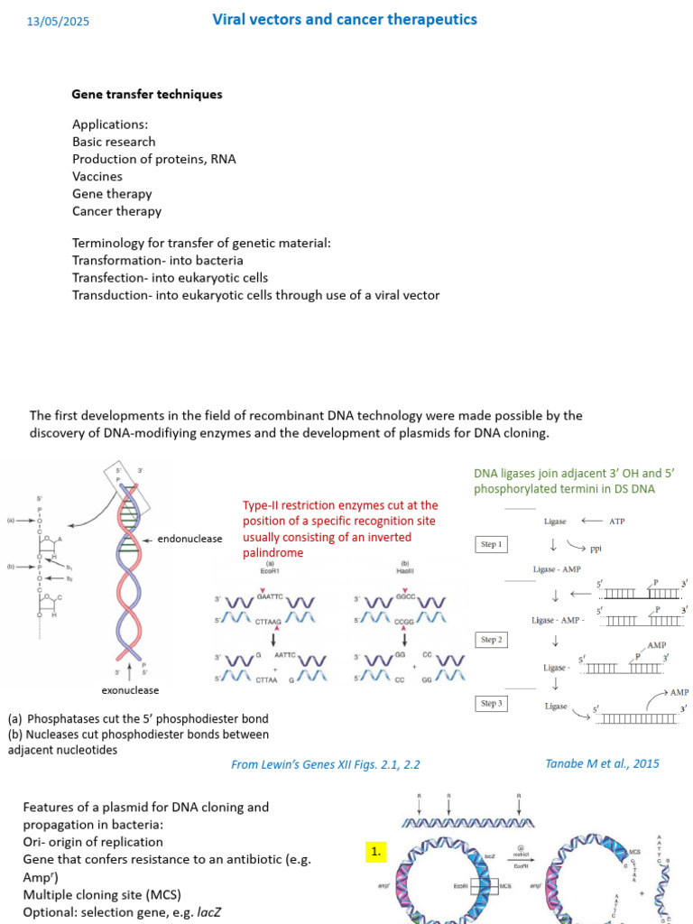 Gene Transfer Techniques Overview | PDF | Molecular Cloning | Viral Vector