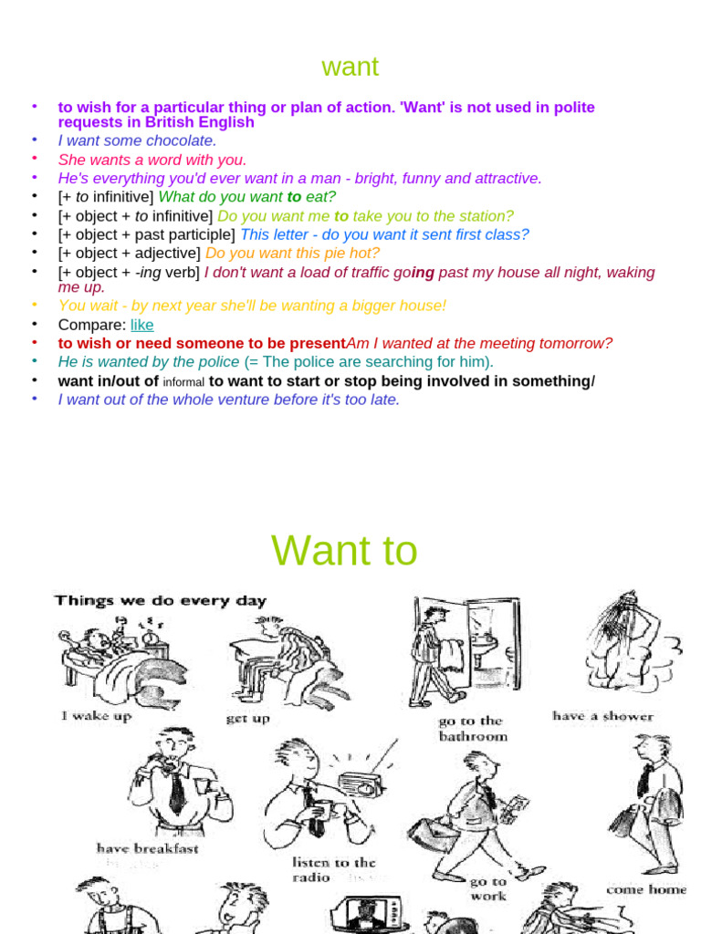 Understanding the Verb 