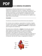 O coração e o sistema circulatório