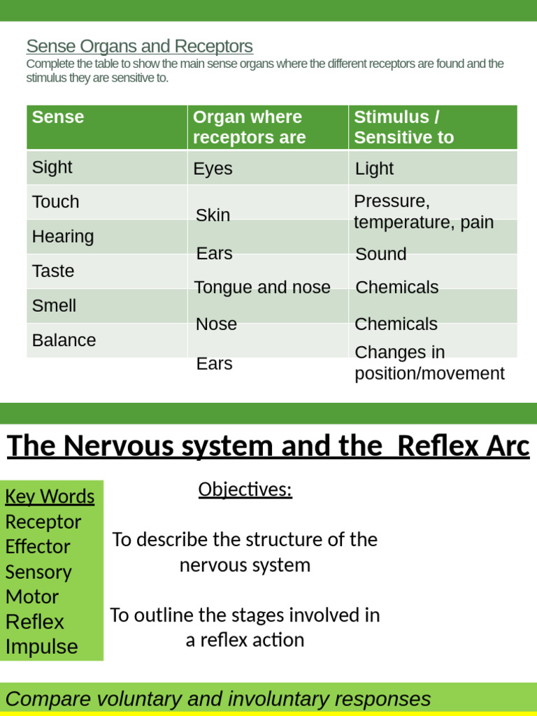 Differences Between Reflex and Involuntary Actions | PDF ...