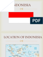 Indonesia - PPT Final
