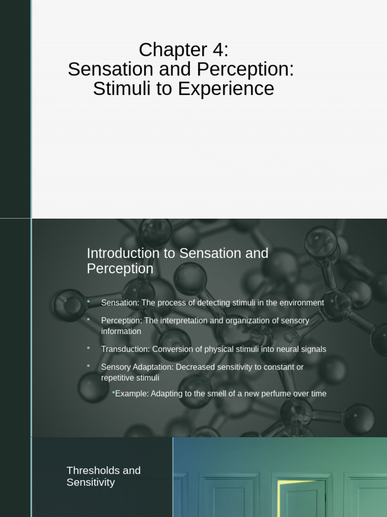 Sensation and Perception Explained | PDF | Senses | Perception