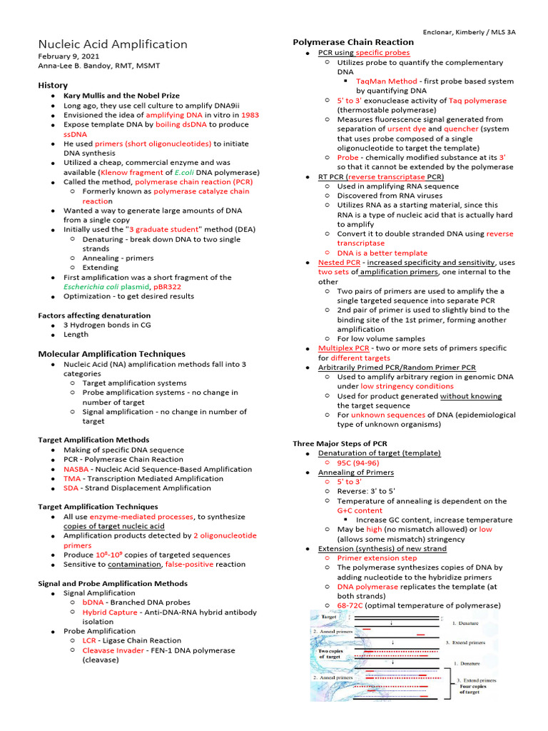 Nucleic Acid Amplification Techniques | PDF | Polymerase Chain Reaction ...